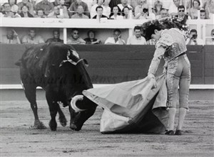 Image description is not available for 2013.068